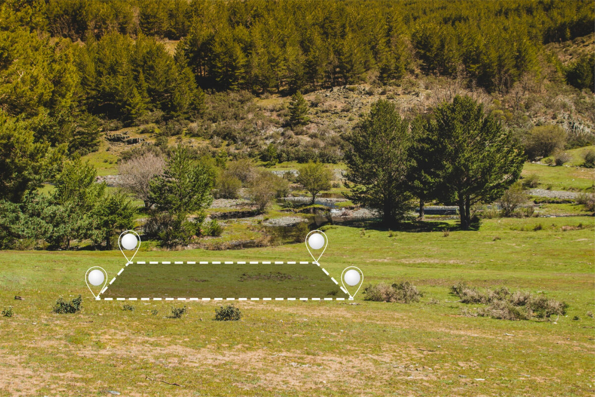 terreno con bosque de pinos en la parte trasera